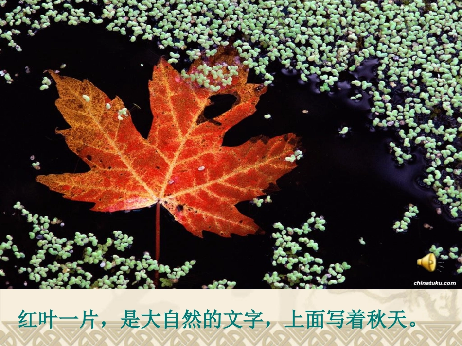 大自然的文字_第2页