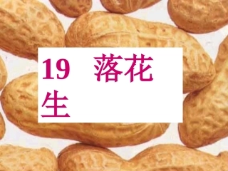 《落花生》ppt课件3