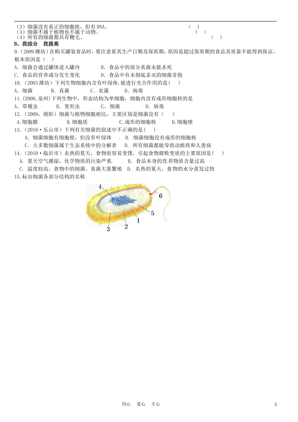 山东省高密市银鹰文昌中学七年级生物上册-细菌学案(无答案)_第2页