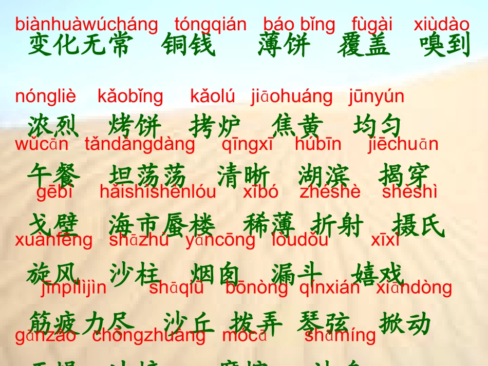 快4沙漠奇观_第2页