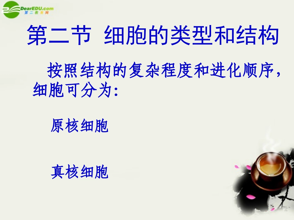 高中生物-3.2《细胞的类型和结构》课件-苏教版必修1_第2页