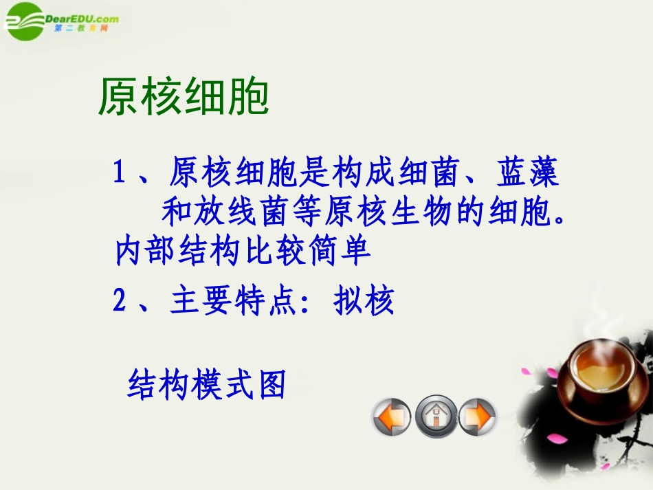 高中生物-3.2《细胞的类型和结构》课件-苏教版必修1_第3页