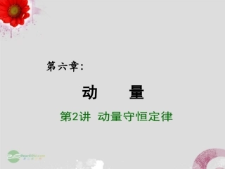 2013届高考物理一轮复习重难点诠释-第六章第2讲-动量守恒定律课件