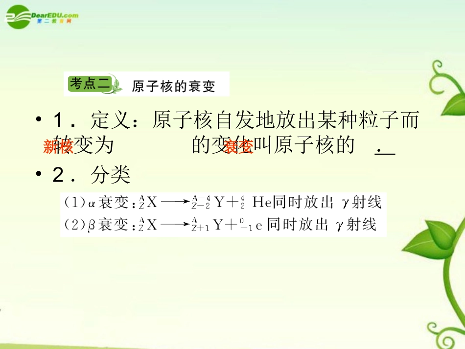 2011届高考物理-单元总复习课件第2单元--放射性元素的衰变--核能课件-新人教版_第3页