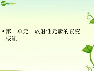 2011届高考物理-单元总复习课件第2单元--放射性元素的衰变--核能课件-新人教版