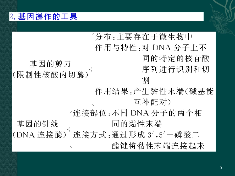 浙江省余姚中学高中生物-基因工程(2)复习课件-浙科版选修3_第3页