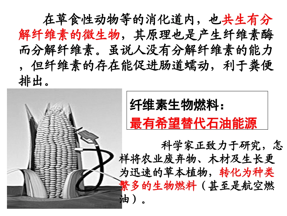 课题2-土壤中分解尿素的细菌的分离与计数-(4)_第2页