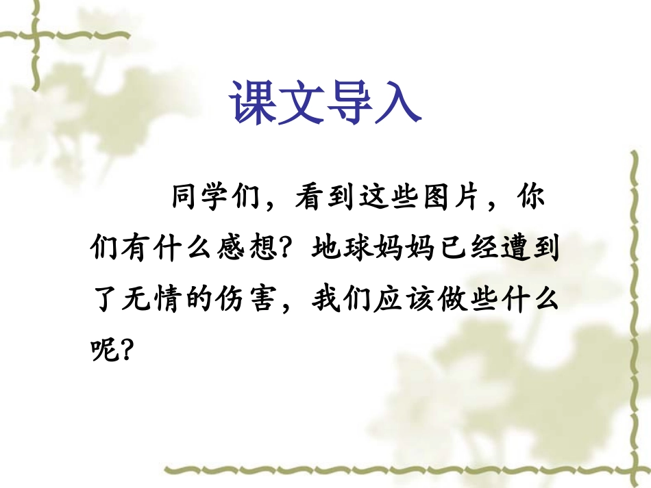 《地球只有一个》课件2-1_第3页