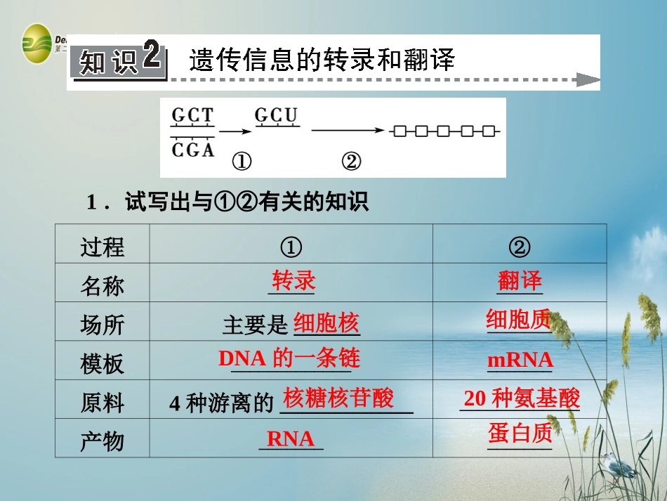 【课堂新坐标】(安徽专用)2014版高考生物一轮复习-第3、4章-第3课时基因的表达课件-新人教版必修2_第3页