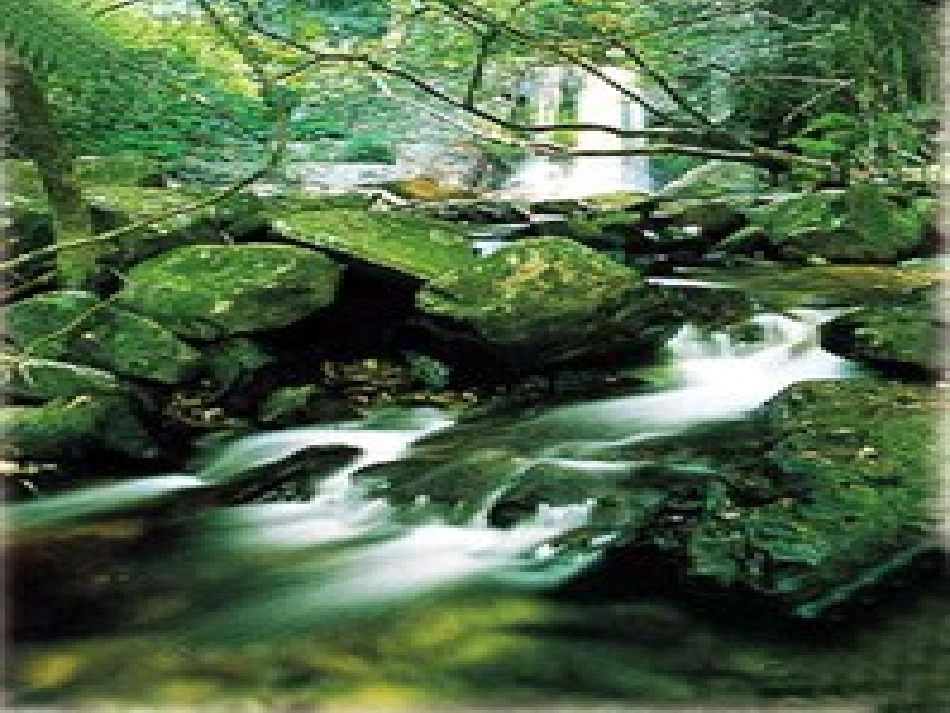 一鼎湖山听泉_第1页
