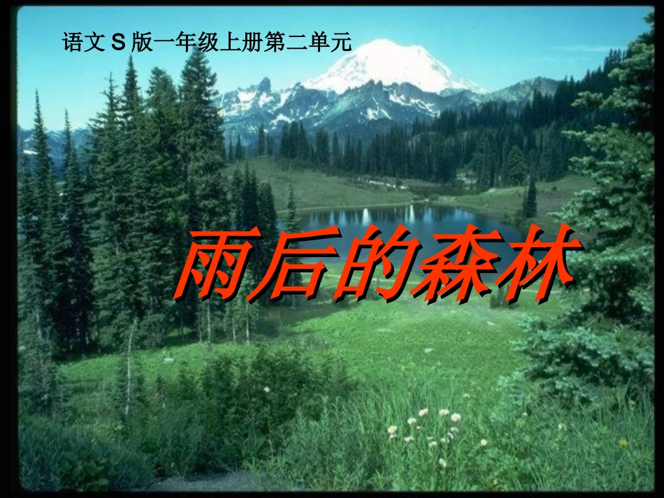 《雨后的森林》课件(语文S版一年级语文上册课件)_第1页