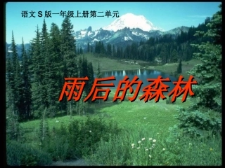 《雨后的森林》课件(语文S版一年级语文上册课件)