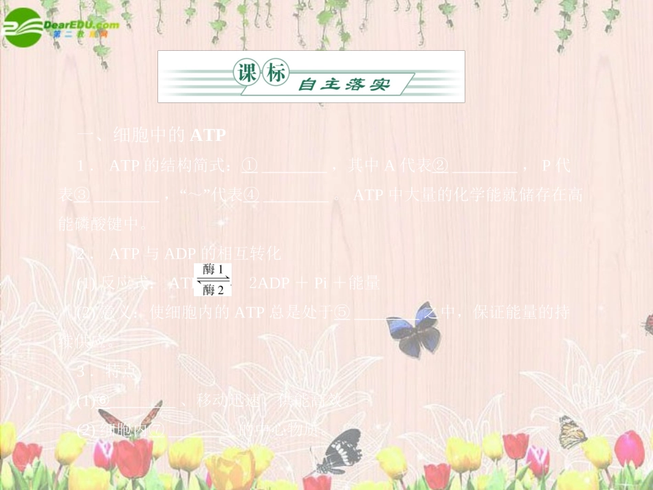 《金版》高中生物-第三单元-第二章-第一节细胞中的能源物质课件-中图版必修1_第2页