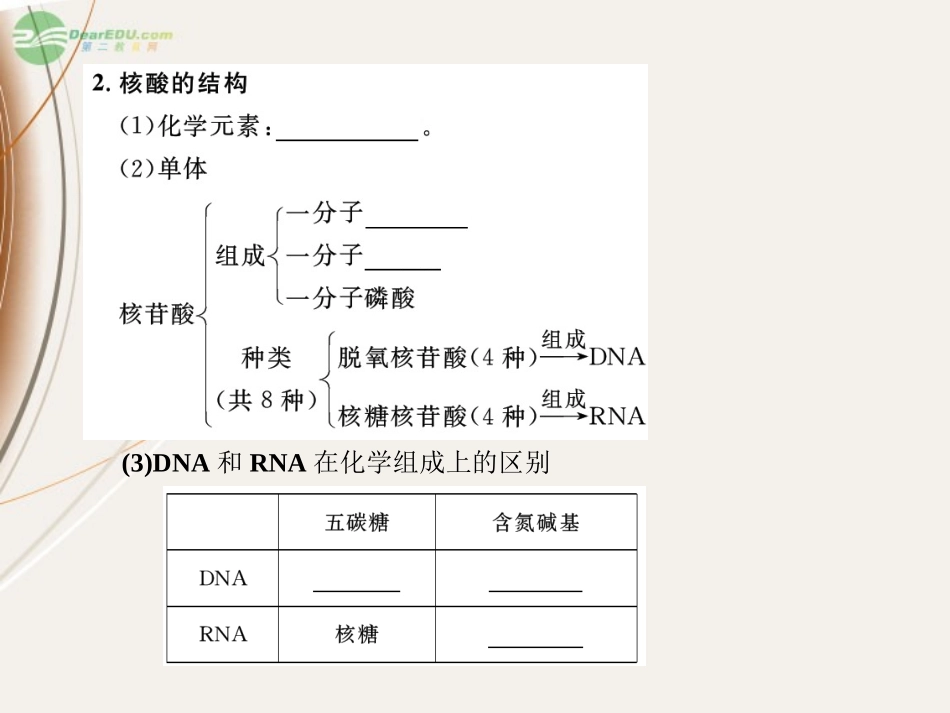 【课堂新坐标】2013届高考生物一轮复习-第1.2章-第4讲-遗传信息的携带者——核酸-细胞中的糖类和脂质课件-_第3页