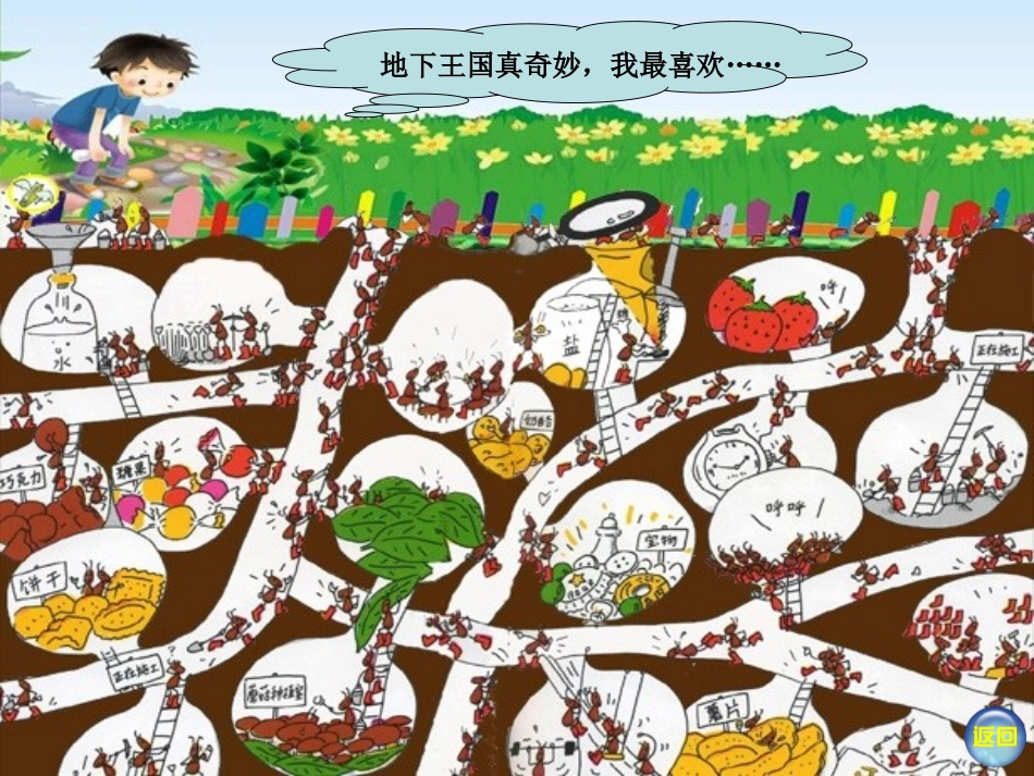 17.地下王国_第3页