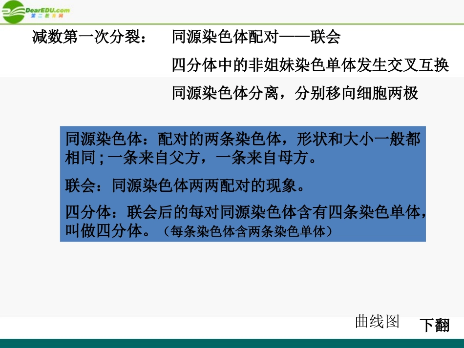 高中生物《减数分裂中的染色体行为》课件-浙教版必修2_第3页