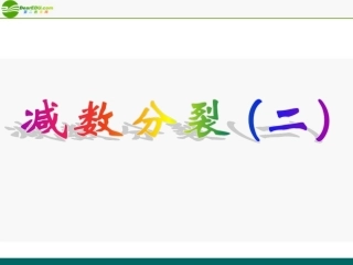 高中生物《减数分裂中的染色体行为》课件-浙教版必修2