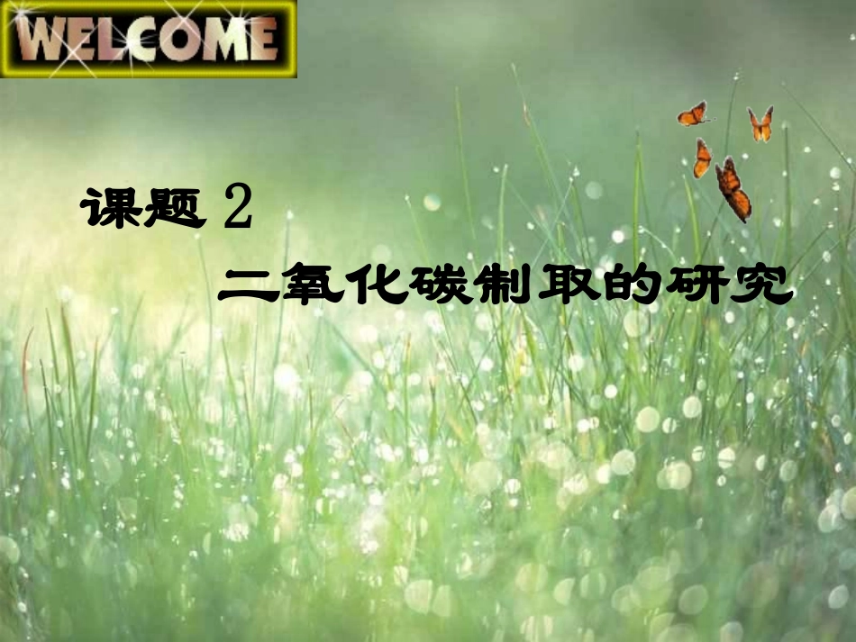 二氧化碳制取的研究课件_第2页
