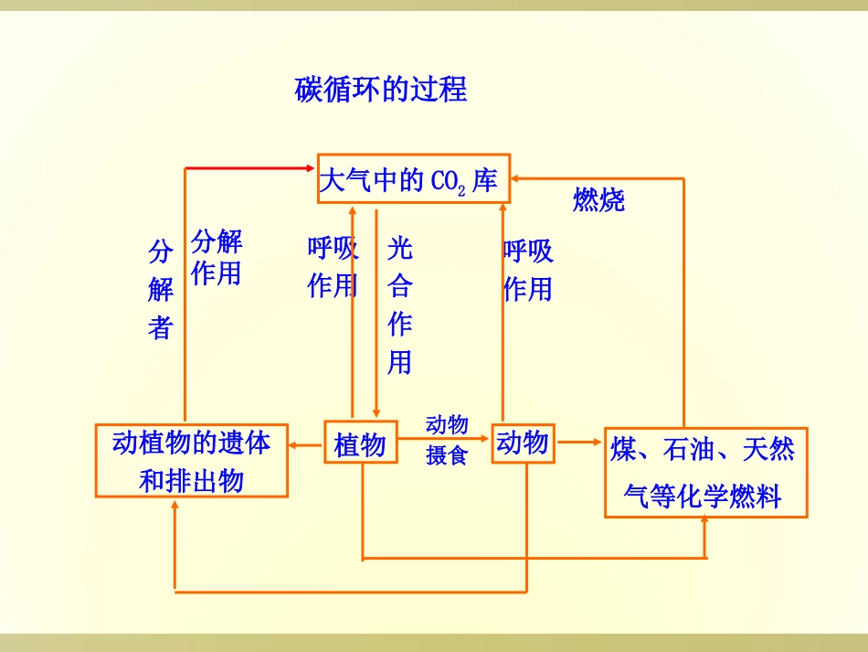 碳循环的过程_第1页