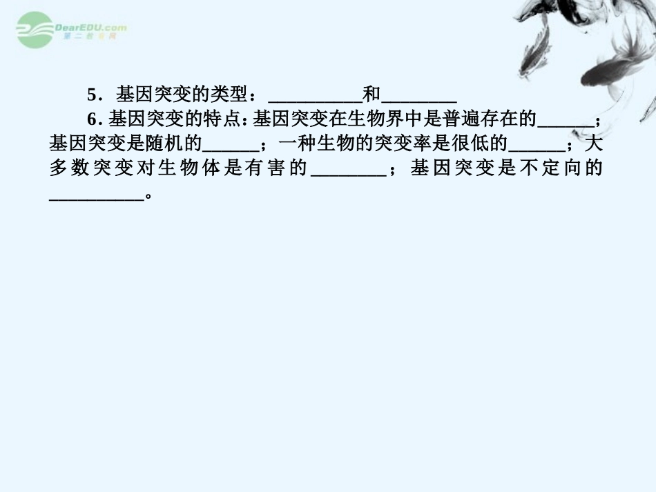 【三维方案】2013届高三生物一轮复习-2.5.1基因突变和基因重组课件_第3页