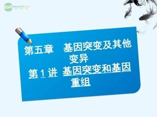 【三维方案】2013届高三生物一轮复习-2.5.1基因突变和基因重组课件