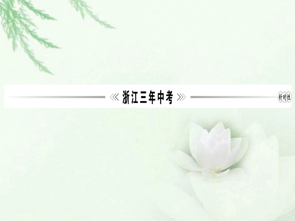 浙江省2013年中考数学第一轮复习-第一章-数与式第4讲二次根式课件-浙教版_第3页