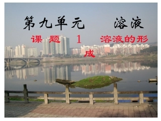 2013课题1溶液的形成(1)课件