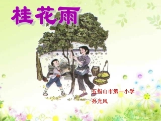 桂花雨-PPT课件.