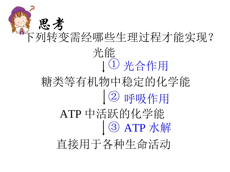 必修一5.4能量之源——光与光合作用._第3页