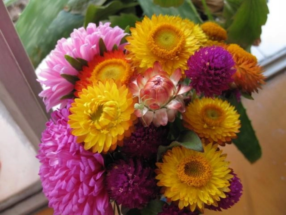 云南省红河州弥勒县庆来学校高一生物《第1节-物质跨膜运输实例》课件_第2页