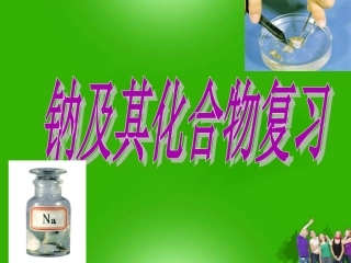 浙江省温州市啸秋中学2011-2012学年高中化学-钠及其化合物课件