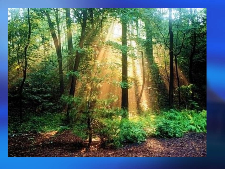 《1-光的传播》课件1_第2页