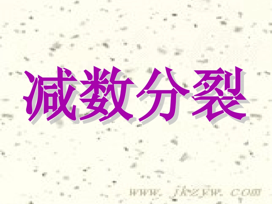 生殖细胞的形成_第2页