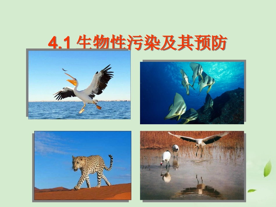 高中生物-4.1《生物性污染及其预防》课件(5)-新人教版选修2_第1页
