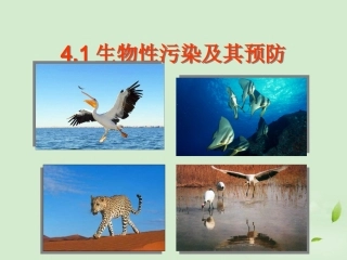 高中生物-4.1《生物性污染及其预防》课件(5)-新人教版选修2