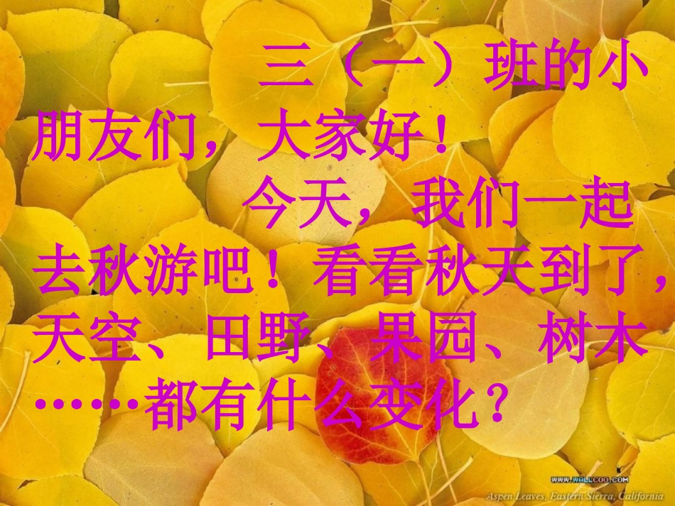 美丽的秋天(看图写作)_第2页