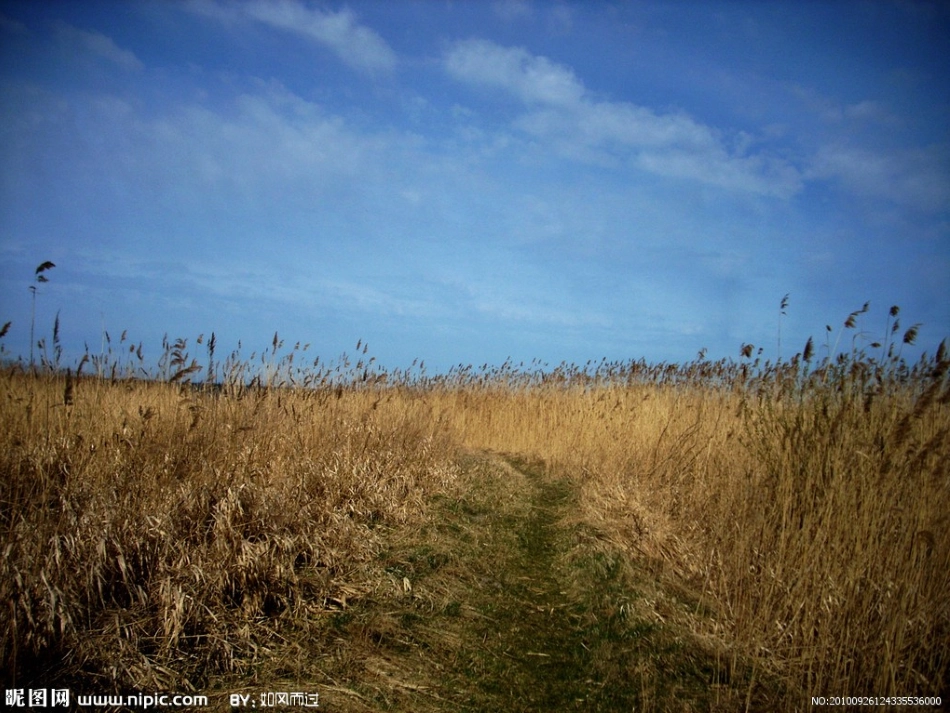 美丽的秋天(看图写作)_第3页