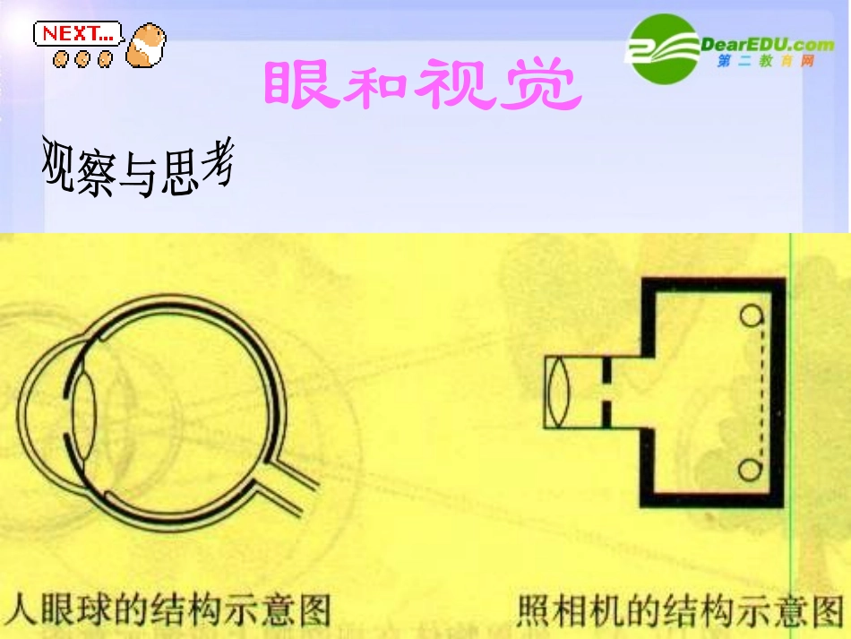 七年级生物下册-第一节人体对外界环境的感知-----眼与视觉课件-人教版_第2页