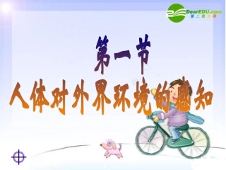 七年级生物下册-第一节人体对外界环境的感知-----眼与视觉课件-人教版