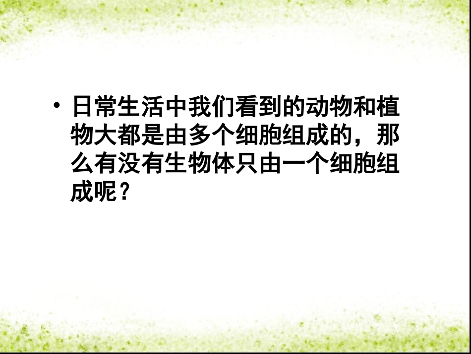 第4节--单细胞生物课件_第2页