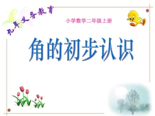 角的初步认识1
