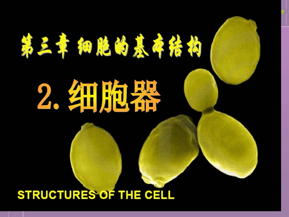 高中生物-3.2《细胞器——系统内的分工合作》课件-新人教版必修1_第1页