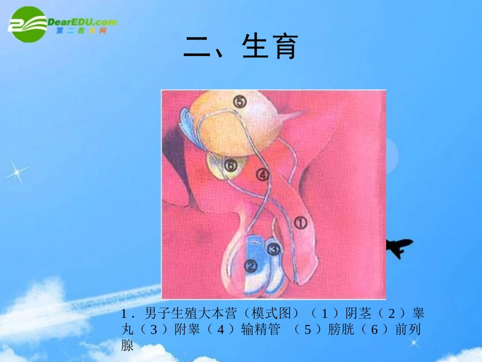 高中生物-3.2《人类生殖工程》课件(1)-中图版选修2_第3页