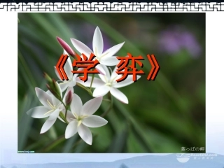 六年级语文上册-学弈-5课件-北师大版