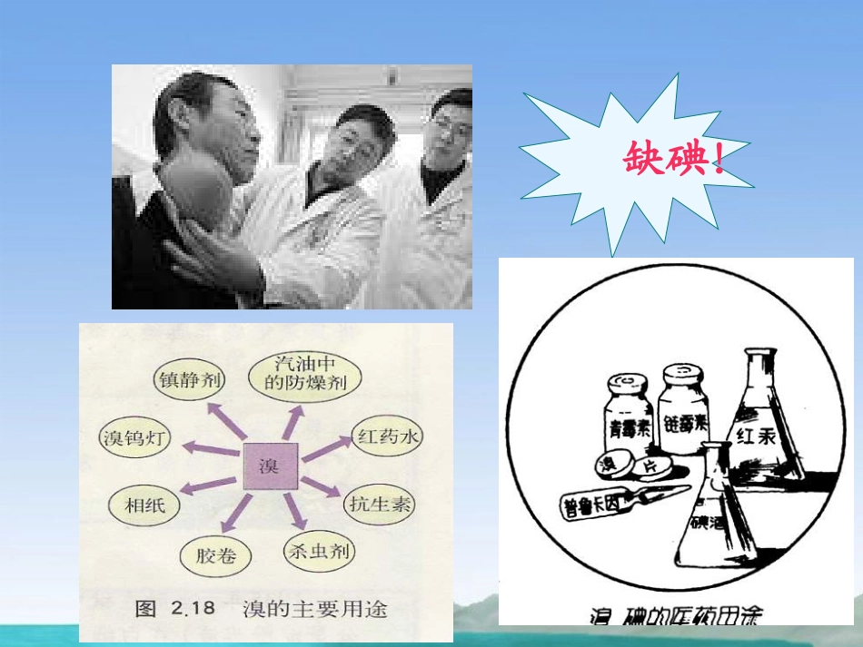 高一化学上册-2.3《从海水中提取溴和碘》课件-沪科版_第2页