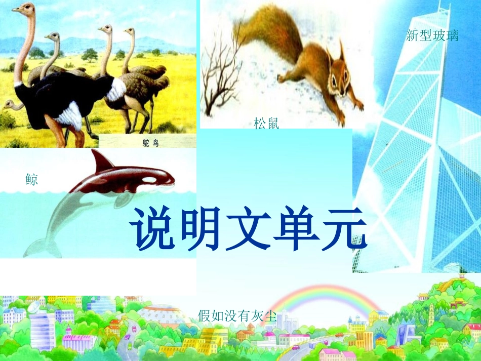 9.鲸(完美版)_第1页