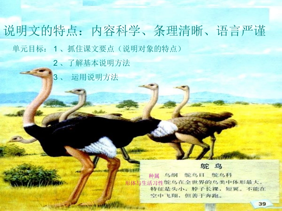 9.鲸(完美版)_第2页