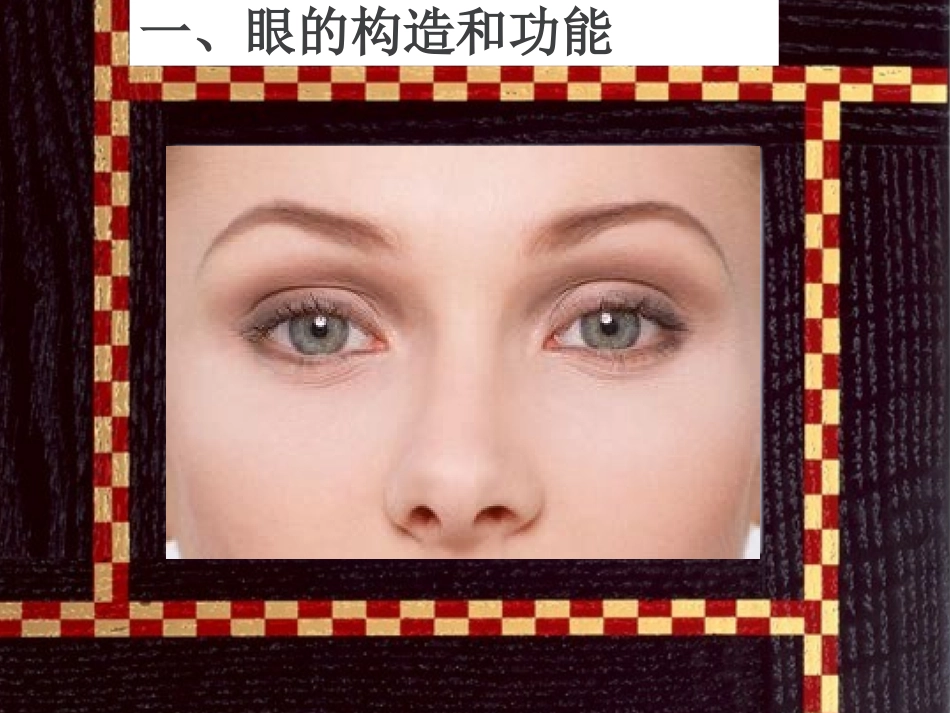 《眼与视觉》课件1_第3页