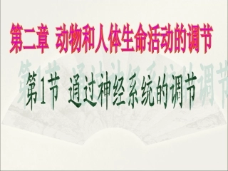 《通过神经系统的调节》课件2-1