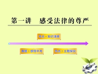 2012年中考政治一轮复习-七下-4.1感受法律的尊严精品课件-人教新课标版